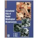 International Atlas of Powder Metallurgical Microstructures